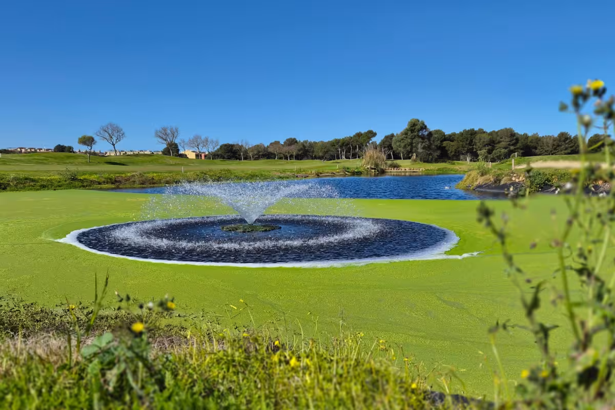 Golfkenttä