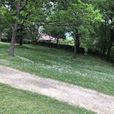  Bologna Golf 2