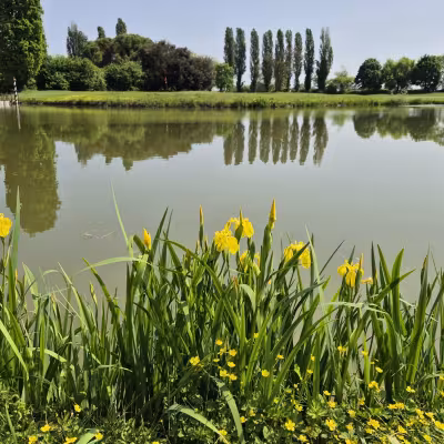 Golf della Montecchia