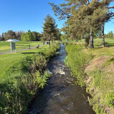Raumanjoki virtaa golfkentän poikki 