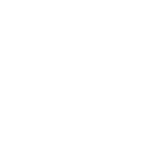 Numero 5