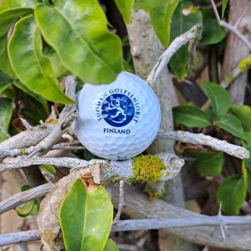 SGS Golfpallo